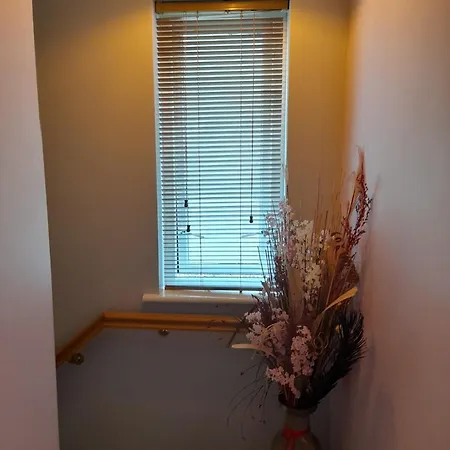 Kathleen's Includes Car Parking شقة غالواي