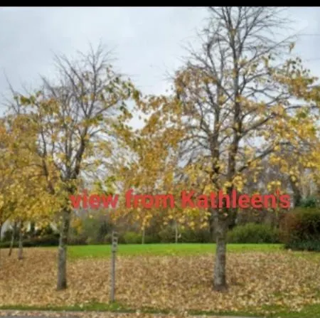 Kathleen's Includes Car Parking Galway