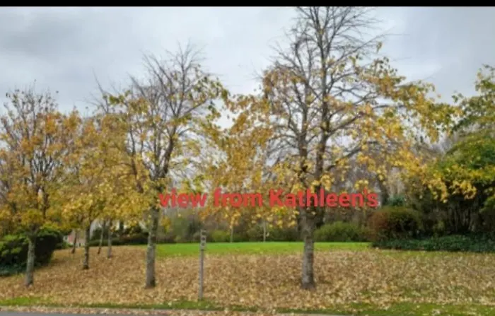 Kathleen's Includes Car Parking Galway